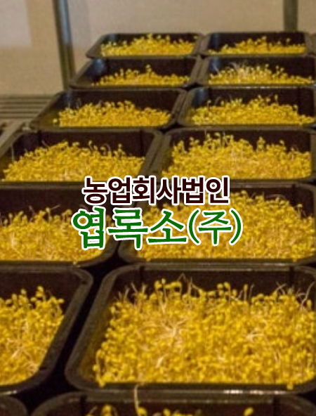 농업회사법인 엽록소㈜