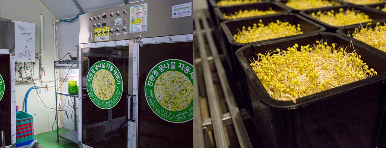 엽록소㈜ 제품소개