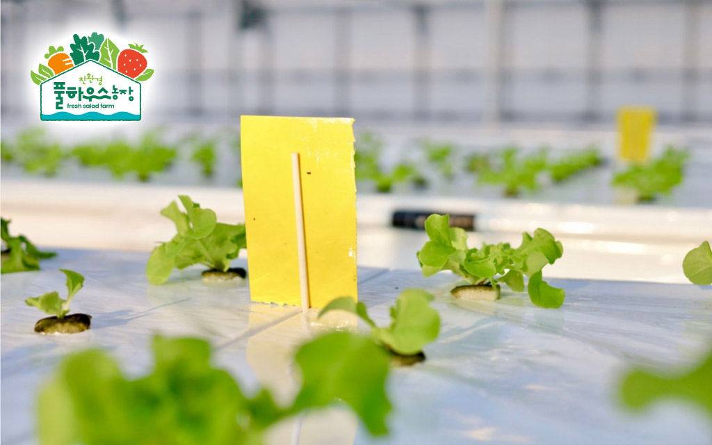 풀하우스농장 사업소개