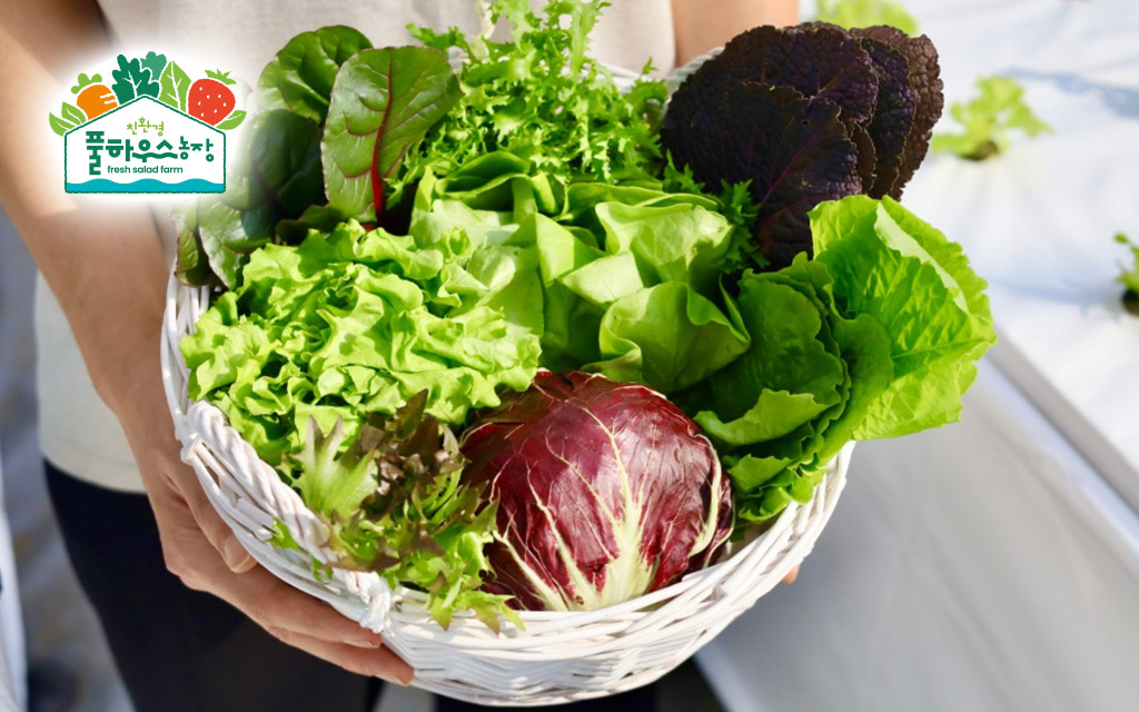 풀하우스농장 사업소개