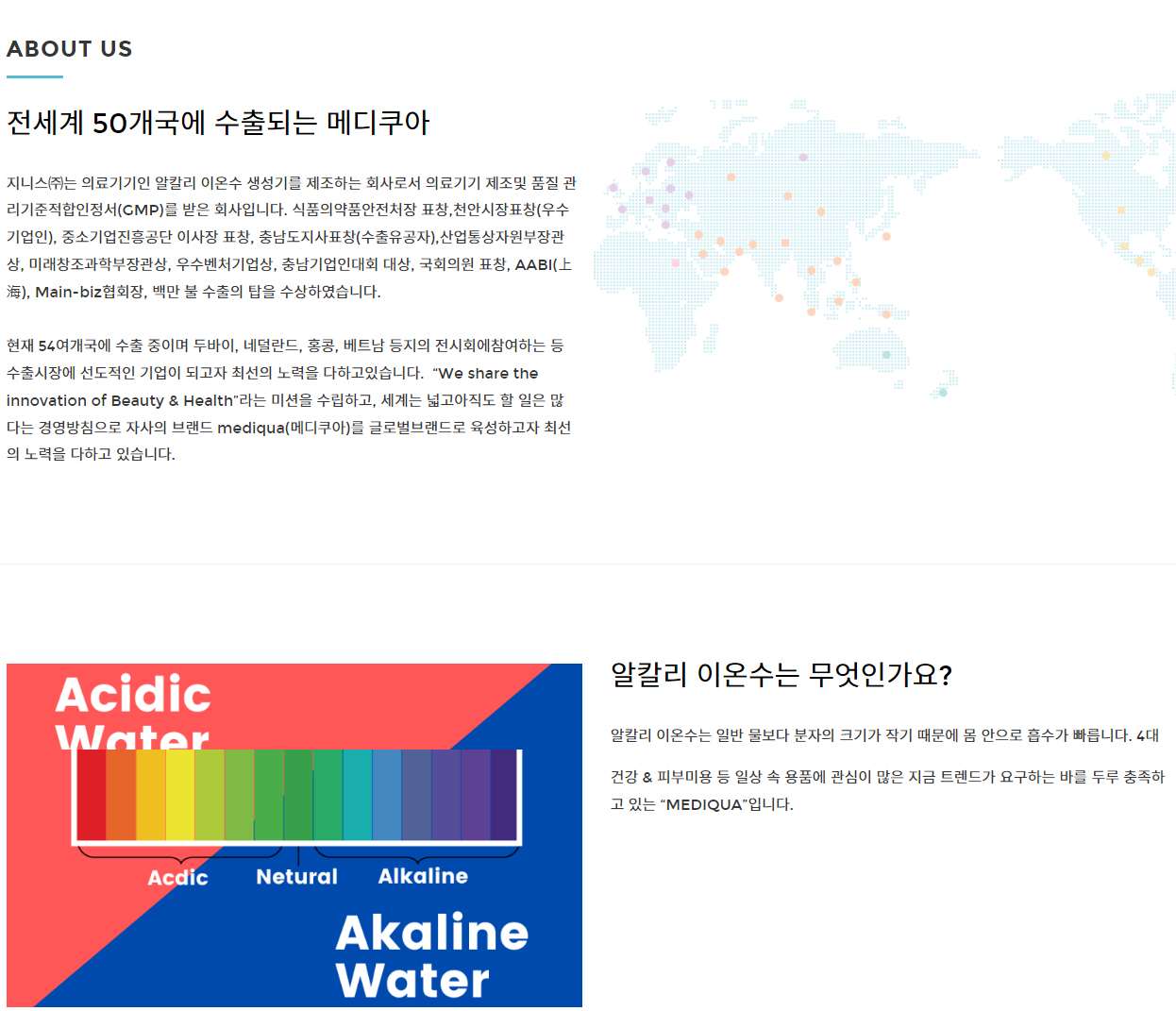 지니스 기업소개